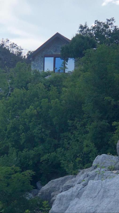 House On The Hill Villa Cetinje Exteriör bild