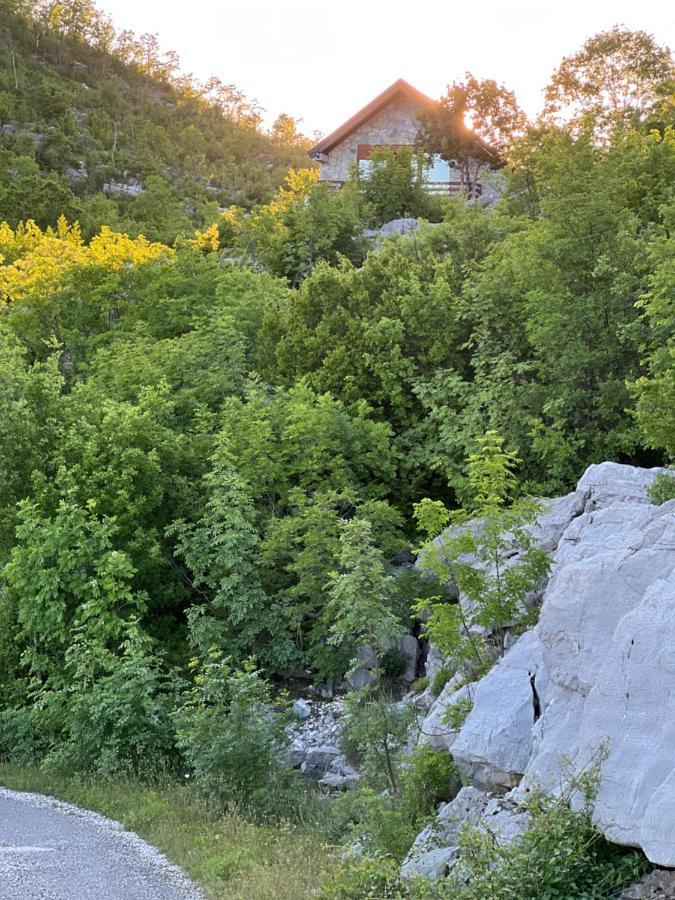 House On The Hill Villa Cetinje Exteriör bild